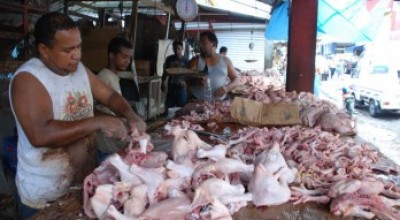 pollo_novelasubiran_3_o_4_al_pollo