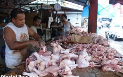 pollo_novelasubiran_3_o_4_al_pollo