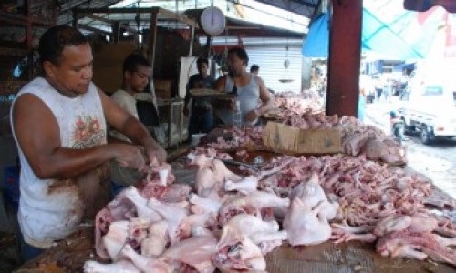 pollo_novelasubiran_3_o_4_al_pollo