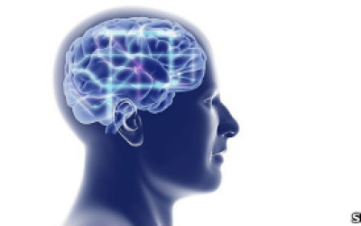 110716175542_ilustracion_cerebro_304x171_spl