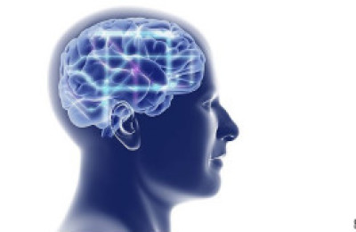 110716175542_ilustracion_cerebro_304x171_spl