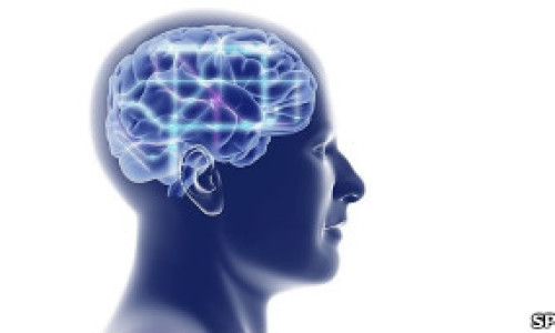 110716175542_ilustracion_cerebro_304x171_spl