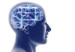 110716175542_ilustracion_cerebro_304x171_spl