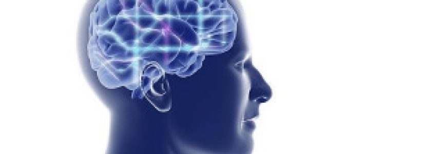 110716175542_ilustracion_cerebro_304x171_spl