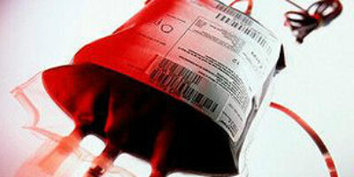 120502150922_sangre_2_304x171__nocredit