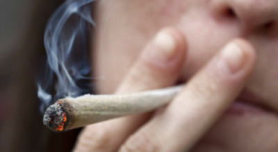 120606104345_cannabis_304x171_reuters_nocredit