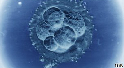 120824101800_superfertilidad_304x171_spl_nocredit_1