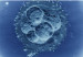 120824101800_superfertilidad_304x171_spl_nocredit_1