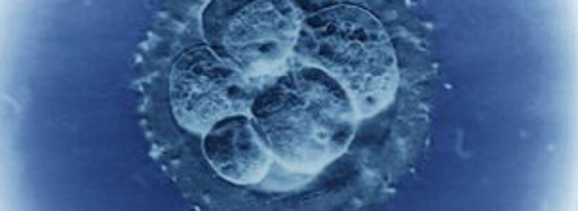 120824101800_superfertilidad_304x171_spl_nocredit_1