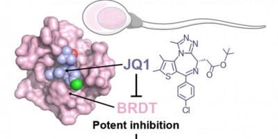jqi-contraception