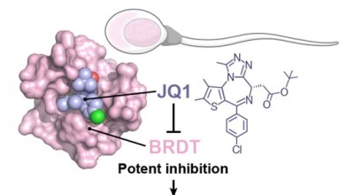 jqi-contraception