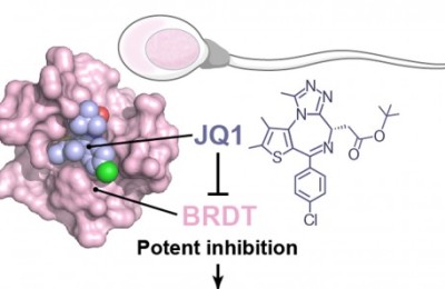 jqi-contraception