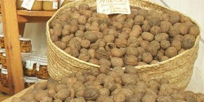 nueces-esperma.jpg--644x362