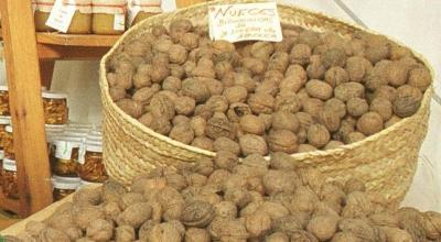 nueces-esperma.jpg--644x362