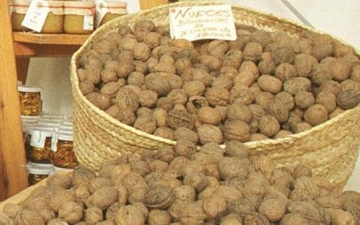 nueces-esperma.jpg--644x362