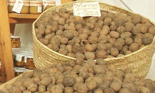 nueces-esperma.jpg--644x362