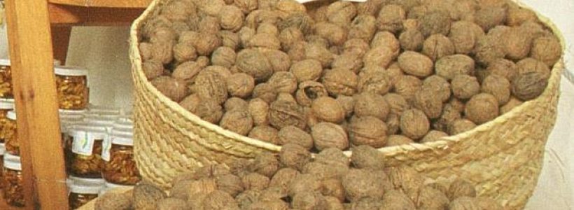 nueces-esperma.jpg--644x362