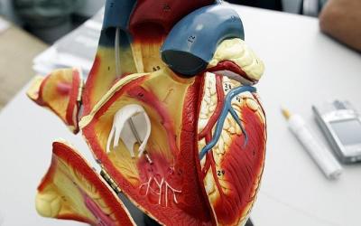 spray-corazon-infarto--644x450