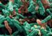 tuberculosis97786744657