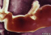 120124091356_baby_embryo_304x171_camerapress