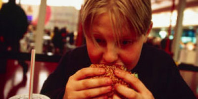 120831113205_fast_food-spl304
