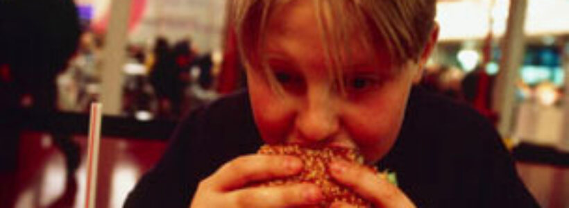 120831113205_fast_food-spl304