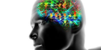 120928111953_brain_waves_304x171_spl_nocredit