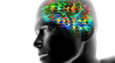 120928111953_brain_waves_304x171_spl_nocredit