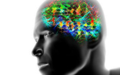 120928111953_brain_waves_304x171_spl_nocredit