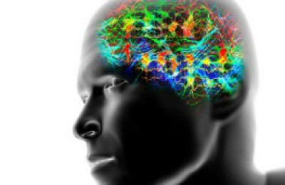 120928111953_brain_waves_304x171_spl_nocredit