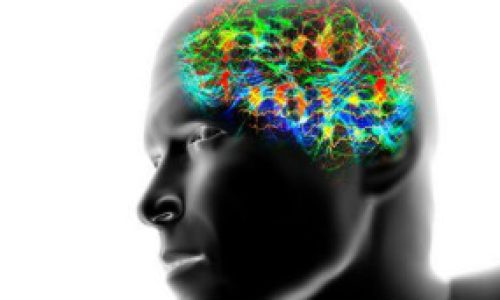 120928111953_brain_waves_304x171_spl_nocredit