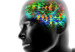 120928111953_brain_waves_304x171_spl_nocredit