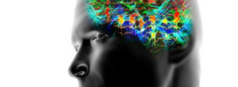 120928111953_brain_waves_304x171_spl_nocredit