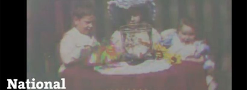 43658976543primervideocolor