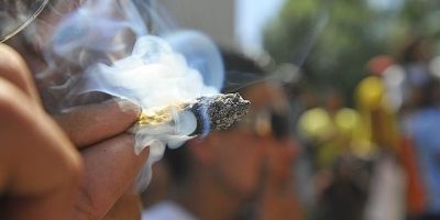 4498831--644x362