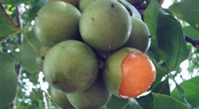 87CC4A01-797F-4F3E-A20F-3D7CE3F87385.jpg__294__440__CROPz0x294y440