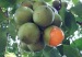 87CC4A01-797F-4F3E-A20F-3D7CE3F87385.jpg__294__440__CROPz0x294y440