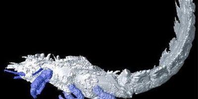 El-insecto-con-espinas-en-3D