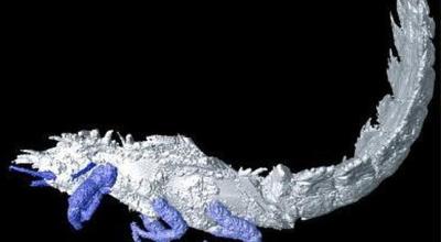 El-insecto-con-espinas-en-3D