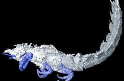 El-insecto-con-espinas-en-3D