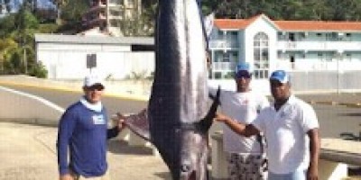 MARLIN-CAPTURADO-FRENTE-A-CABARETE-225x300