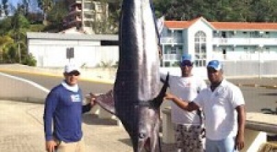 MARLIN-CAPTURADO-FRENTE-A-CABARETE-225x300