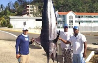 MARLIN-CAPTURADO-FRENTE-A-CABARETE-225x300