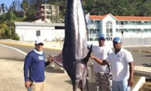 MARLIN-CAPTURADO-FRENTE-A-CABARETE-225x300