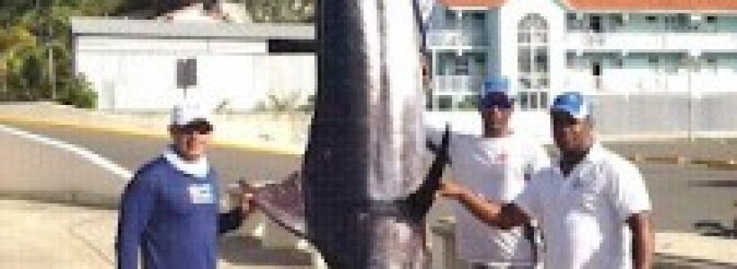 MARLIN-CAPTURADO-FRENTE-A-CABARETE-225x300