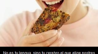 el_cerebro_es_quien_elige_lo_que_quieres_comer