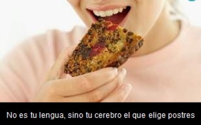 el_cerebro_es_quien_elige_lo_que_quieres_comer
