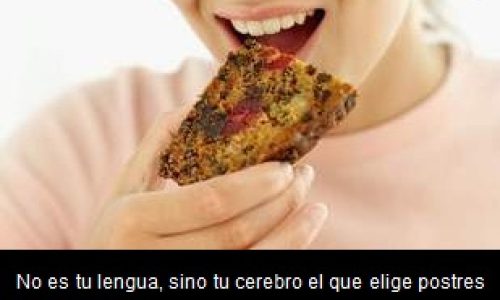 el_cerebro_es_quien_elige_lo_que_quieres_comer