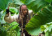 pirates-of-the-caribbean567