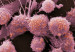 121002114420_celula_prostata_304x171_spl_nocredit